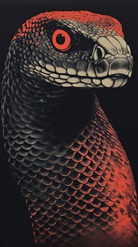 Snake reptile animal lizard.