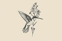 Hummingbird micro tattoo art illustrated drawing.