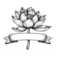 Ribbon with lotus art illustrated drawing.