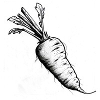 Carrot tattoo flash illustration illustrated vegetable produce.