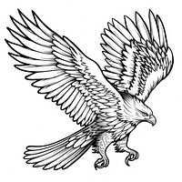 Eagle tattoo flash illustration illustrated drawing sketch.