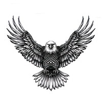 Eagle tattoo flash illustration illustrated drawing vulture.