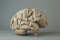 Brain in style of crumpled paper clothing cushion.