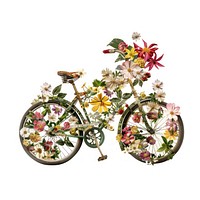 Flower Collage bicycle flower vehicle pattern.