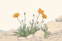 Wildflowers in Death Valley National Park art illustrated asteraceae.