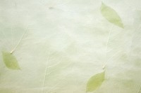 Pale green mulberry paper plant backgrounds textured.