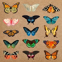 Vintage butterfly animal design element set psd