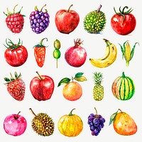 Colorful watercolor fruit design element psd set