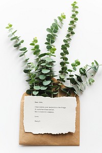 Eucalyptus stems in a brown envelope with a note. Minimalist design with greenery. Eucalyptus and note create a fresh, natural aesthetic. Simple and elegant aesthetic letter.