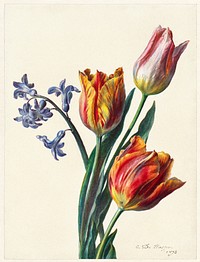 Drie tulpen en een takje hyacint (1892) by C de Haspe. Original public domain image from The Rijksmuseum. Digitally enhanced by rawpixel.