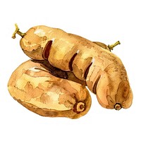 An isolated fresh tamarind food illustration watercolor.