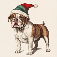 A bulldog wearing elf hat art illustration christmas.