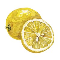 An isolated lemon illustration watercolor produce.