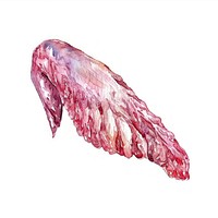 An isolated raw chicken wing illustration watercolor colors.