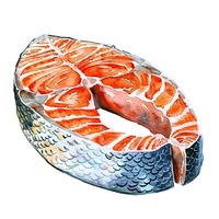 An isolated Christmas raw salmon steak illustration watercolor vibrant.