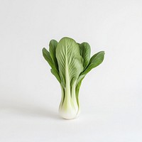 An isolated bok choy vegetable produce food.