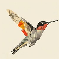 Ephemera paper humming bird hummingbird vintage art.