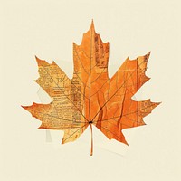 Ephemera paper maple leaf newspaper vintage orange.