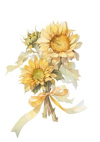 Pastel coquette Sunflowers sunflower art illustration.