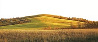 Real green hilly grass field hills landscape.