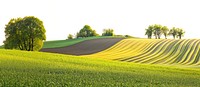 Hilly spring fields countryside landscape nature.