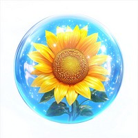 Yellow sunflower inside background sparkling bubble.