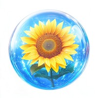 Yellow sunflower inside illustration bubble botanical.