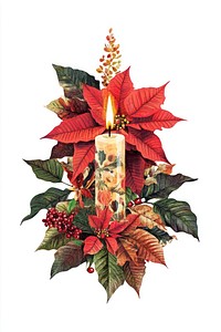 Poinsettia Flower Collage Christmas Candle candle illustration poinsettia.