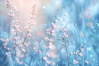 Blue bokeh background flowers nature dreamy.