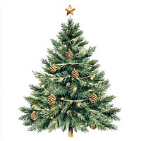 Green christmas tree illustration decoration pine.