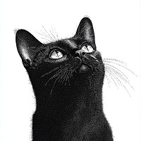 Cat retro photocopy stipple effect animal illustration realistic.