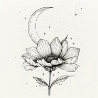 Celestial illustration of Flower with Crescent Moon flower crescent white.