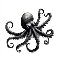 Octopus retro photocopy stipple effect invertebrate illustration detailed.