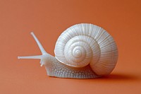 Real albino Snail snail background invertebrate.