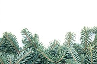 A christmas tree branch bottom border background branches winter.