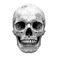 Skull retro photocopy stipple effect human white illustration.