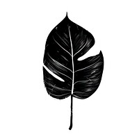 Philodendron leaf simple black white.