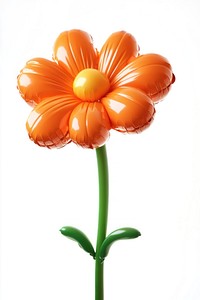 Marigold balloon flower orange.