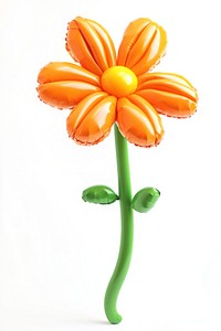 Marigold balloon flower orange.