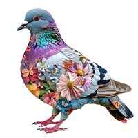 Flower Collage pigeon illustration flowers pattern.