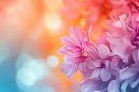 Blur gradient backgrounds flowers petals outdoors.