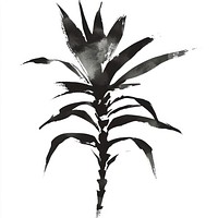 Pineapple plant brush black.