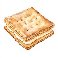 Swiss biscuit illustration watercolor cracker.