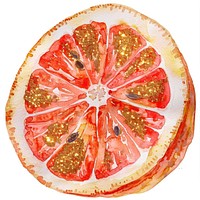 Grapefruit watercolor painting illustration.