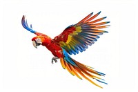 Macaw flying parrot bird colorful.