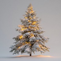 Winter Fir with Fairy Lights tree snow-covered christmas.