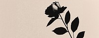 Press print blank background with text space silhouette flower rose.