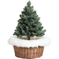 Minimalist christmas tree basket wicker pine.