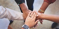 Diverse group of business people joining hands in teamwork. Diverse hands in unity.  Teamwork and unity of diverse business team. Diverse people hands joining together, teamwork and unity