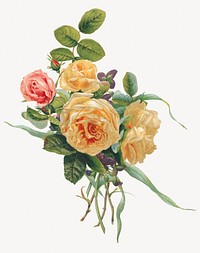 Rose flower bouquet vintage illustration. Remixed by rawpixel.